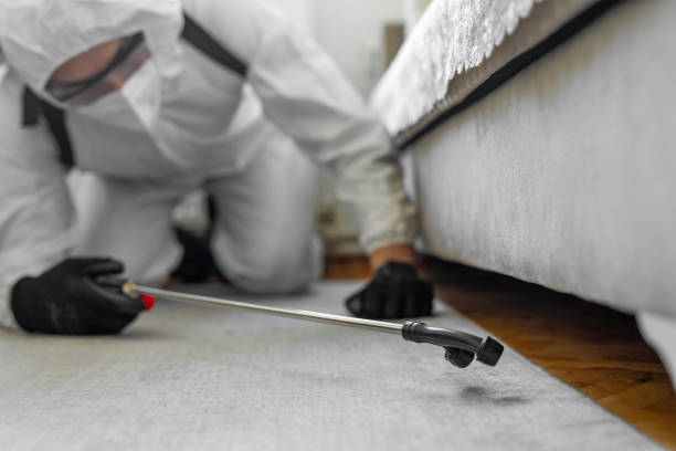 Professional Bed Bug Control technician working in Strawberry Point, IA