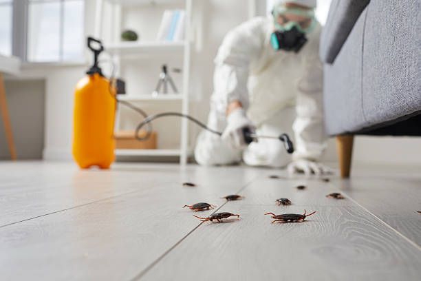 Trusted Fumigation Services service in Strawberry Point, IA - Nex Pest Control
