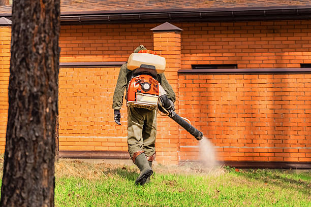 Trusted Bed Bug Control service in Strawberry Point, IA - Nex Pest Control